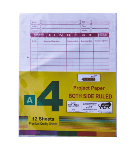 Punch Papers 12 Sheets (1 Doz)